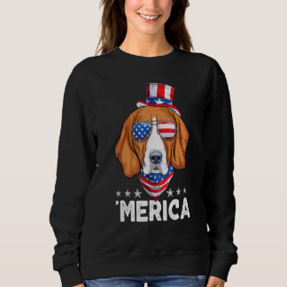 Moletom Cachorro Beagle Com Óculos De Sol Bandeira America