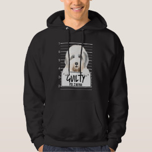 Moletom Cachorro Bobo de Velho Inglês Culpado