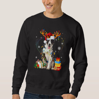 Moletom Cachorro Collie Fronteira Corta Luzes Santa Hábito
