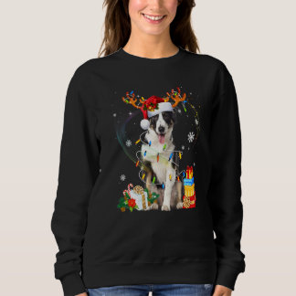 Moletom Cachorro Collie Fronteira Corta Luzes Santa Hábito