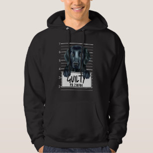 Moletom Cachorro Culpado Mugshot Retriever de Capa Lisa