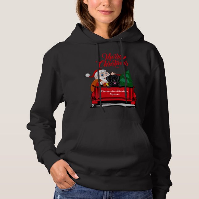 Moletom Cachorro da Flandres com Caminhão Vermelho Santa C (Frente)