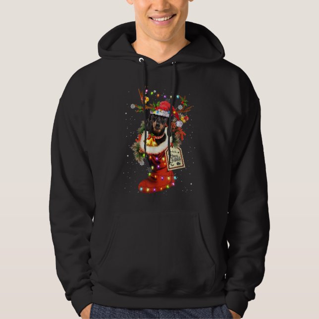 Moletom Cachorro Engraçado No Natal Sock Santa Hat Xm (Frente)