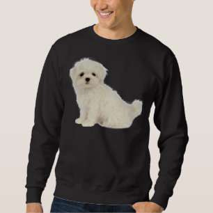 Moletom Cachorro Maltês Cachorro Branco Longo Revestido Pu