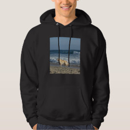 Moletom Cachorro Na Praia