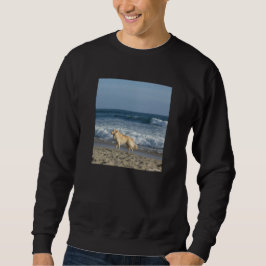 Moletom Cachorro Na Praia