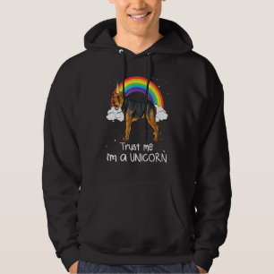 Moletom Cachorro Rainbow Welsh Terrier Confie Em Mim Sou U