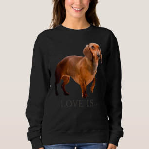 Moletom Cachshund Weiner Cachorro Mãe Pai Adora Doxie Pupp