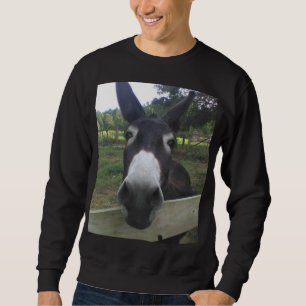 Moletom Camisola