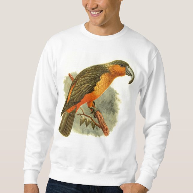 Moletom Camisola básica de Nestor Norfolcensis (Frente)