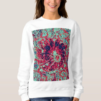 Moletom Camisola básica de uso feminino