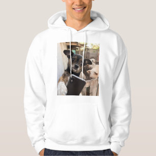 Moletom Camisola com Capuz de Chihuahua Engraçado Fazendo