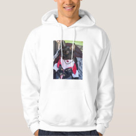 Moletom Camisola de Freddie