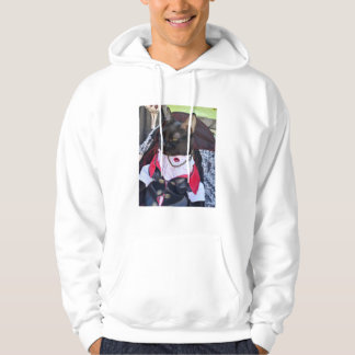 Moletom Camisola de Freddie