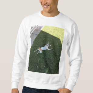 Moletom camisola de pérolas de biquíni