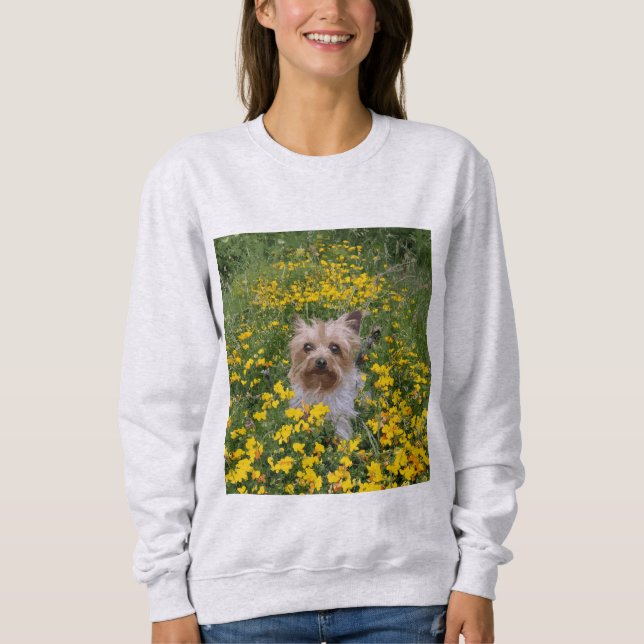 Moletom campo de Yorkshire Terrier (Frente)
