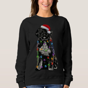 Moletom Cão de Água Português Luzes de Natal Xmas Cão Lov