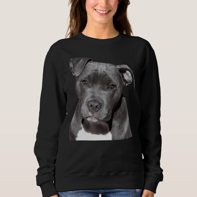Moletom Cão Pitbull (Frente)