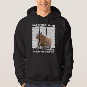 Moletom Capybara Lover Queria 93 Felonias Em Toda A C