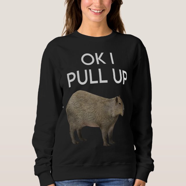 Moletom Capybara Meme Puxar Animais Roedores Mamíferos (Frente)