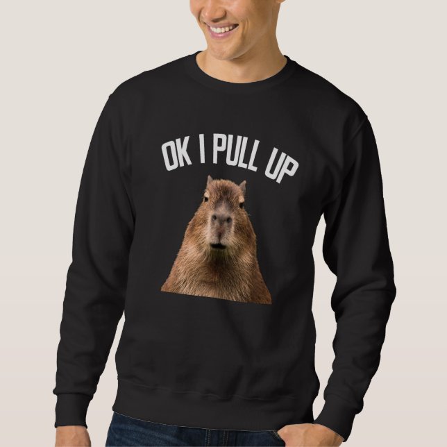 Moletom Capybara Ok I Pull Up Rodent Capybara Women Men (Frente)