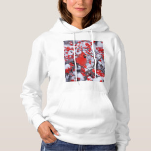 Moletom Cardinal-vermelho macho, Inverno, IL