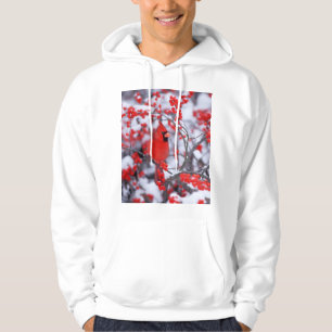 Moletom Cardinal-vermelho macho, Inverno, IL