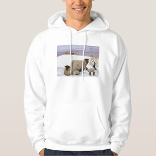 Moletom Carneiros no inverno