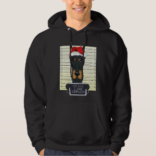 Moletom Caros Papais noeis, Posso Explicar O Natal Do Dobe