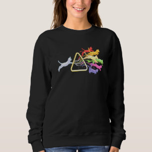 Moletom Cat Prism Rainbow Light Physics Spectral C de Ciên