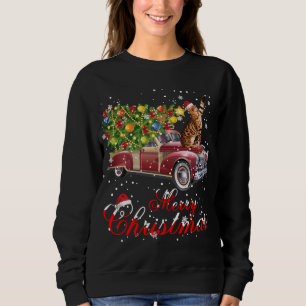 Moletom Cats Rides Red Truck Natal Pajama