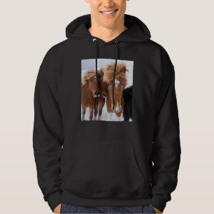 Moletom Cavalos islandeses se aninham, Islândia
