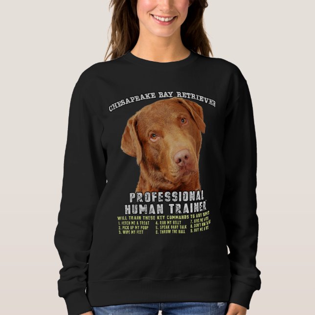 Moletom Chesapeake Bay Retriever Professional Human Traine (Frente)