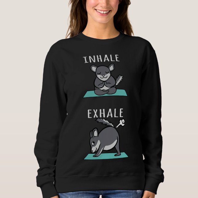 Moletom Chinchilla Yoga Inalar Exalar (Frente)