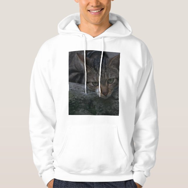 Moletom Cinza Cat (Frente)