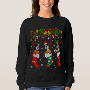 Moletom Collie Fronteira Em Sock Xmas Reindeer Papais noei