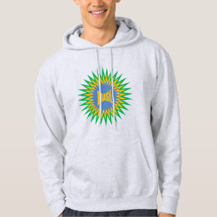 Moletom com capuz masculino cinza SUN BRASIL