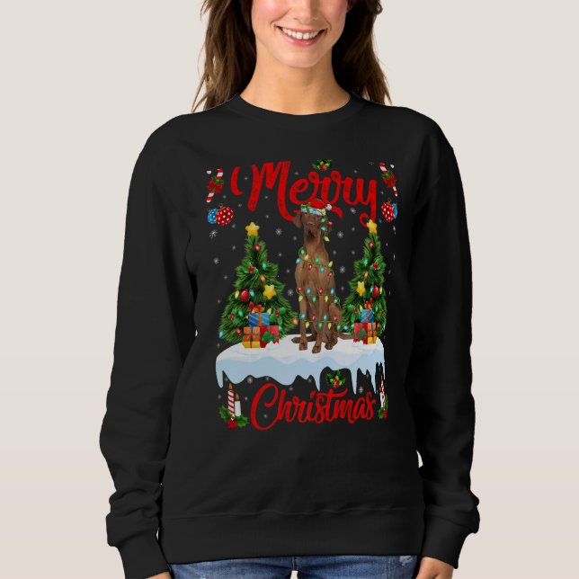 Moletom Coonhound Dog Luz Xmas Papais noeis de árvores Con (Frente)