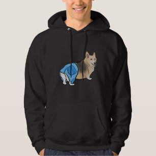 Moletom Corgi Com Calças