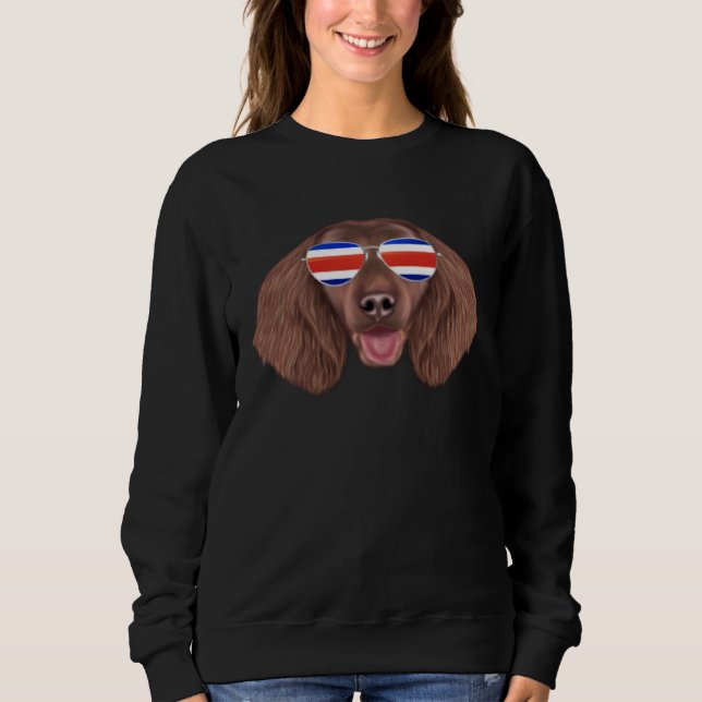 Moletom Costa Rica Flag American Water Spaniel Dog Tico Po (Frente)