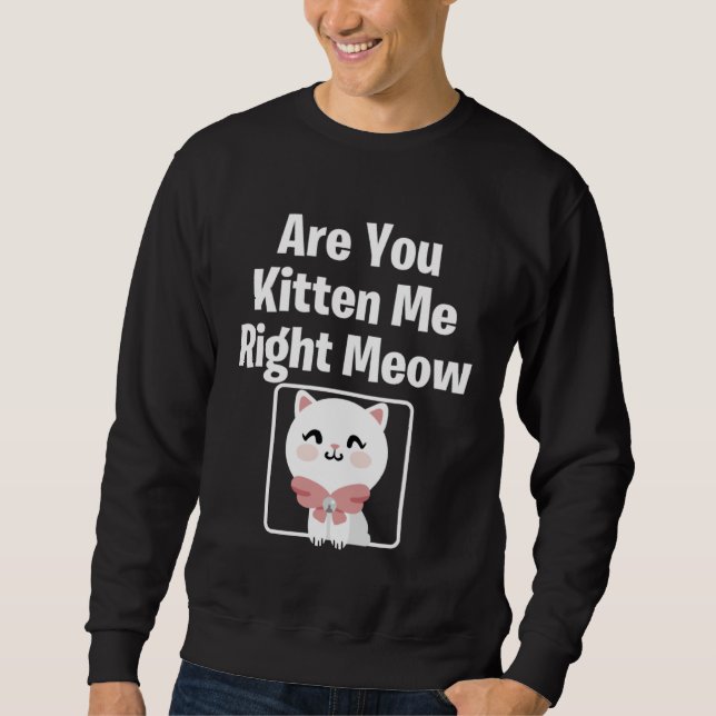 Moletom Cute  Cat Are You Kitten Me Right Meow Cat (Frente)
