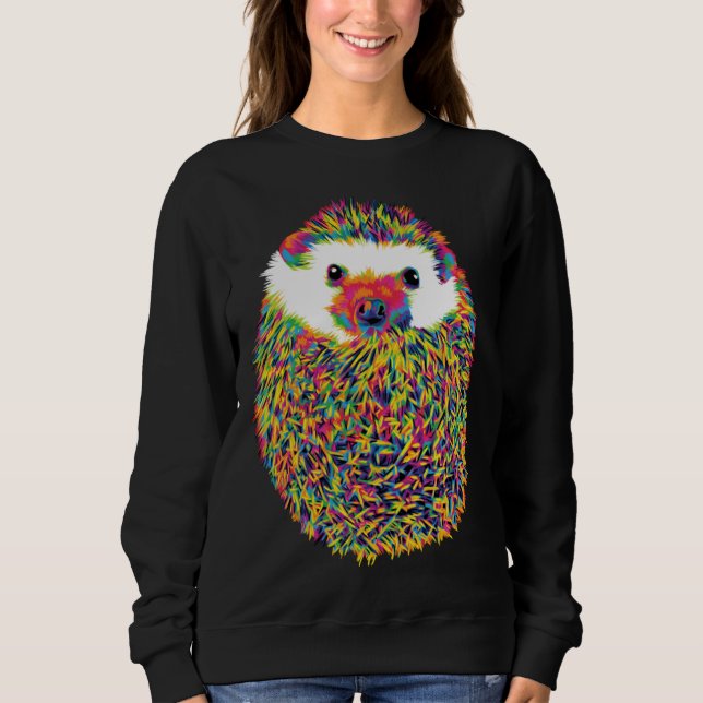 Moletom Cute Rainbow Hedgehog (Frente)