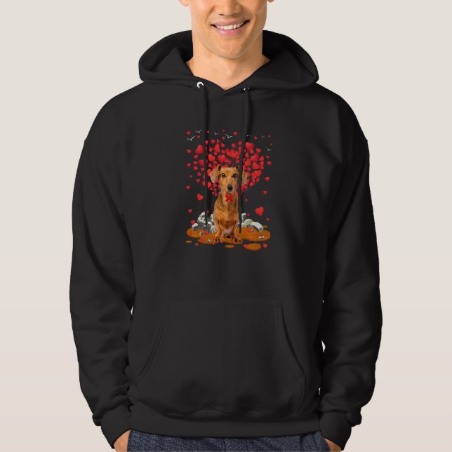 Moletom Dachshund Dog Heart Valentines Day Dog Dad Dog Mom (Frente)