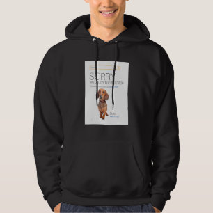Moletom Dachshund Online Compra Ecommerce Venler 404 Dog P
