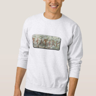 Moletom Danmark Runic