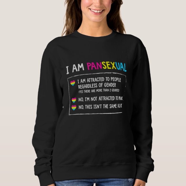 Moletom Definição Pansexual - Lgbtq Queer Pan Omnisexual (Frente)