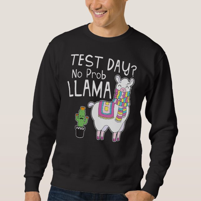Moletom Dia de Teste Sem Prob Llama Dia de Teste do Profes (Frente)