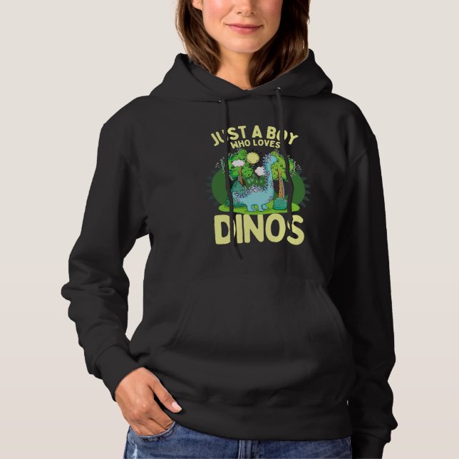Moletom Dinosaur Dino Just A Boy Who Loves Dinosaurs Dinos (Frente)