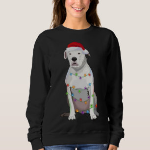 Moletom Dogo Argentino No Natal Luz Xmas No Cachorro