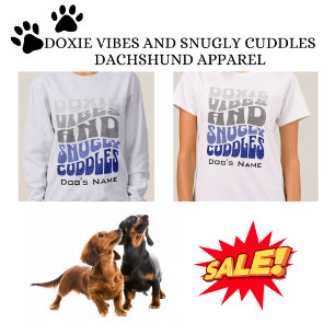 Moletom Doxie Vibes Cinza Azul Fresca Dachshund Lover Retr